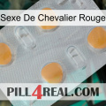 Red Knight Sex 24